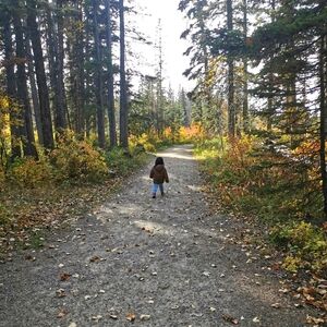 Meet your Posher, Lily